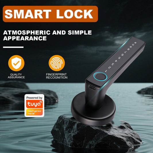 Tuya Biometric Smart Door Lock with Electronic Fingerprint Handle, Split-Type Digital Keyless Lock