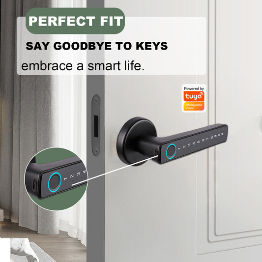 Tuya Biometric Smart Door Lock with Electronic Fingerprint Handle, Split-Type Digital Keyless Lock